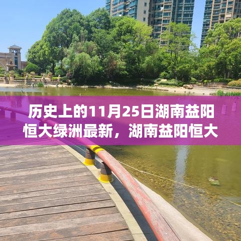 湖南益陽恒大綠洲項(xiàng)目深度解讀，最新進(jìn)展與全面剖析報(bào)告（11月25日）