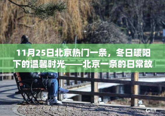冬日暖陽下的北京一條日常故事，溫馨時(shí)光回顧