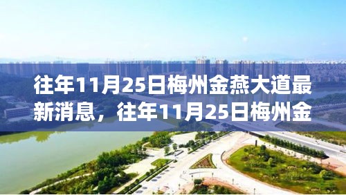 往年11月25日梅州金燕大道，發(fā)展詳評(píng)與最新動(dòng)態(tài)解析