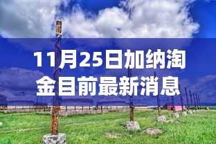 加納淘金最新動(dòng)態(tài)，探尋秘境的心靈之旅