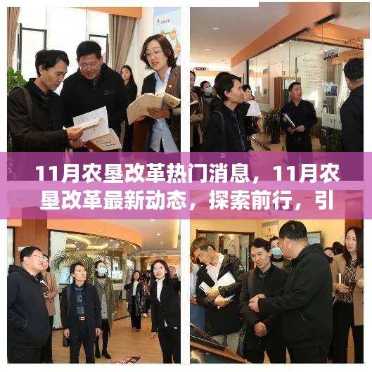 探索前行，農(nóng)墾改革最新動態(tài)引領(lǐng)農(nóng)業(yè)現(xiàn)代化