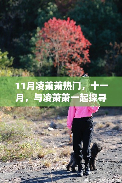 十一月心靈之旅，與凌蕭蕭共探自然秘境