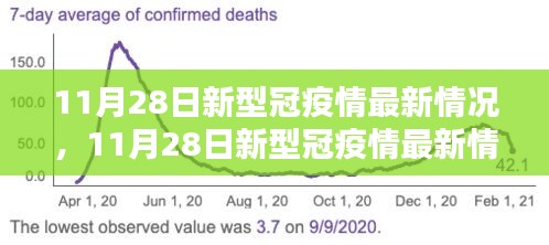 全面評(píng)測與深度解析，11月28日新冠疫情最新情況