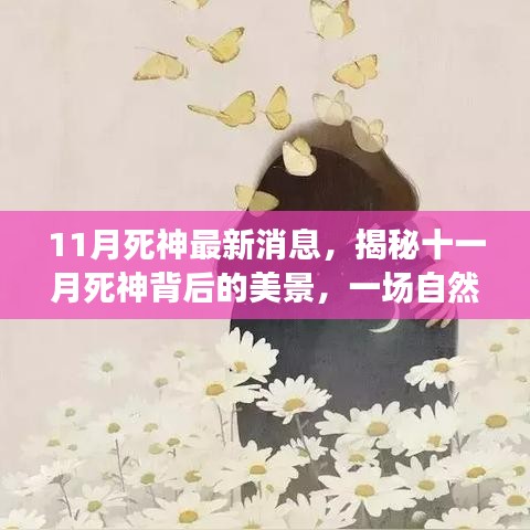 揭秘十一月死神背后的美景，自然之旅探尋內(nèi)心寧靜與平和