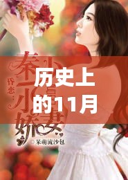 歷史上的11月28日，我的嬌妻及其深度解讀與影響