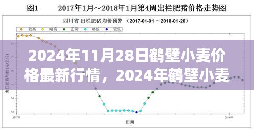 2024年鶴壁小麥價(jià)格最新行情及市場(chǎng)走勢(shì)分析，影響因素探討