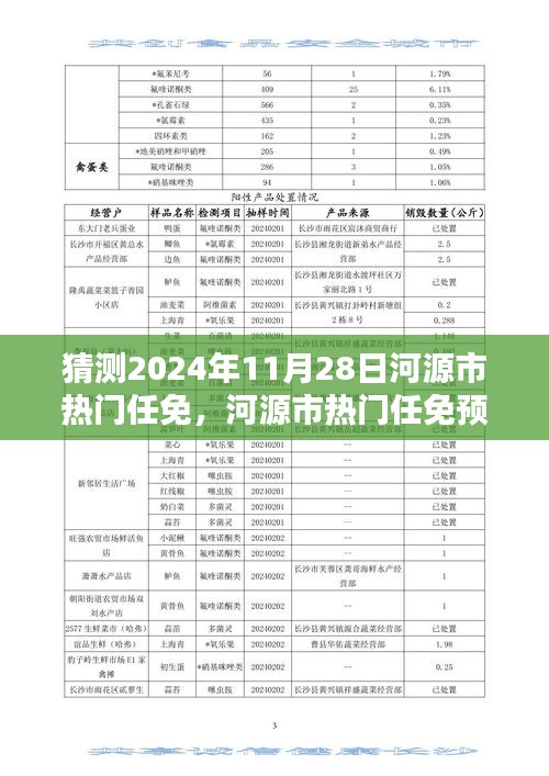 河源市熱門任免預(yù)測報(bào)告，揭秘2024年11月28日的人才動向深度分析