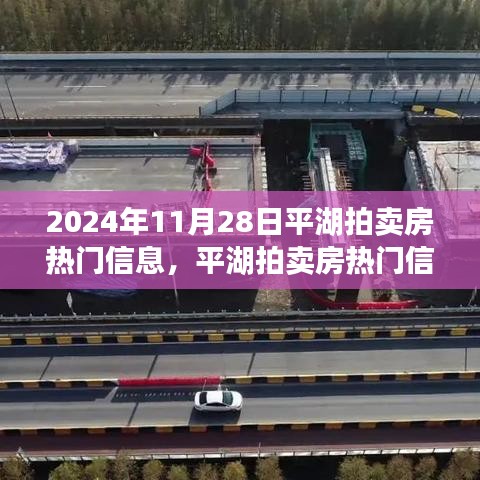 平湖拍賣房熱門信息揭秘，回顧與展望，影響深遠！