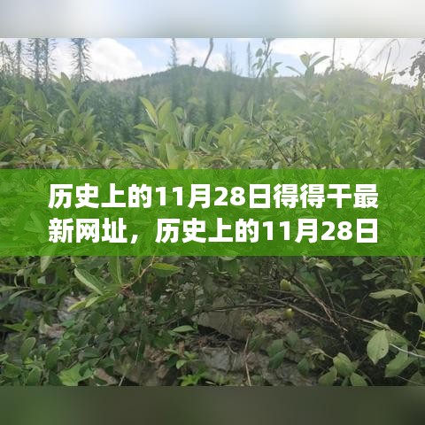 歷史上的11月28日，追尋自然美景之旅，探索內(nèi)心寧靜港灣的新網(wǎng)址揭秘