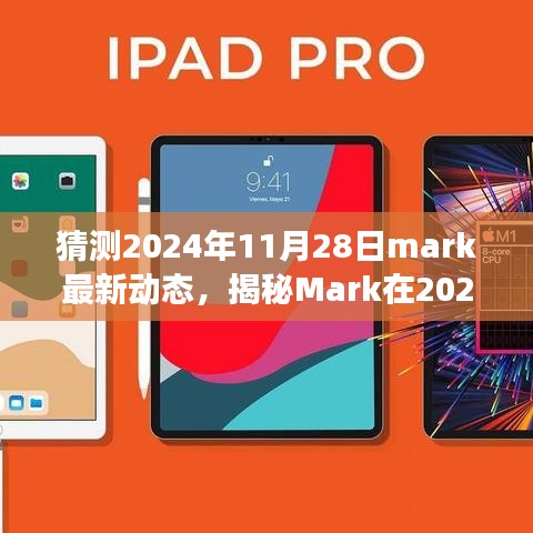 揭秘Mark在2024年11月28日的最新動(dòng)態(tài)，深度解讀成長(zhǎng)與變遷之路