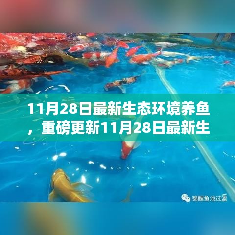 揭秘最新生態(tài)環(huán)境養(yǎng)魚秘籍，打造生態(tài)魚池新境界！