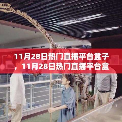 11月28日熱門直播平臺(tái)盒子，學(xué)習(xí)、自信與夢想成就之路