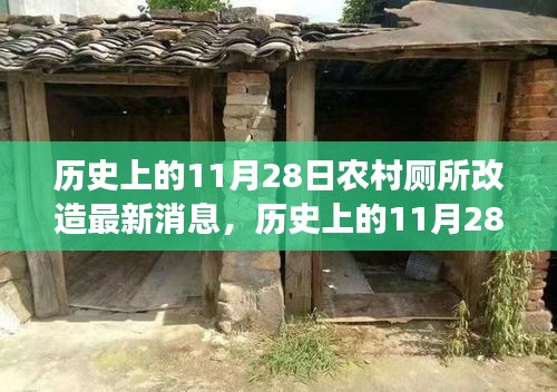 歷史上的11月28日，農(nóng)村廁所改造背后的勵志故事與變革力量最新消息