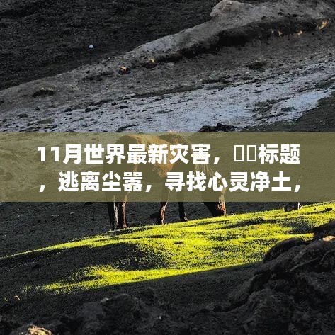 回眸最初 第14頁