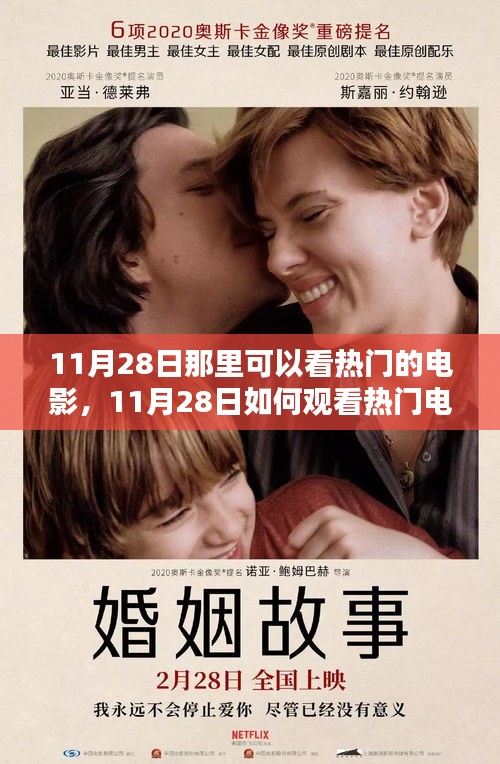 11月28日觀看熱門電影全攻略，觀影地點與步驟指南