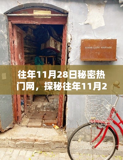 探秘往年11月28日小巷深處的秘密熱門網(wǎng)，獨(dú)特小店的魅力之旅