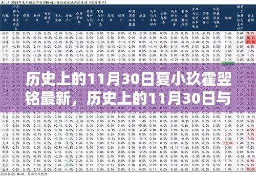 歷史上的11月30日與夏小玖霍翌銘，深度解讀與最新觀點(diǎn)闡述