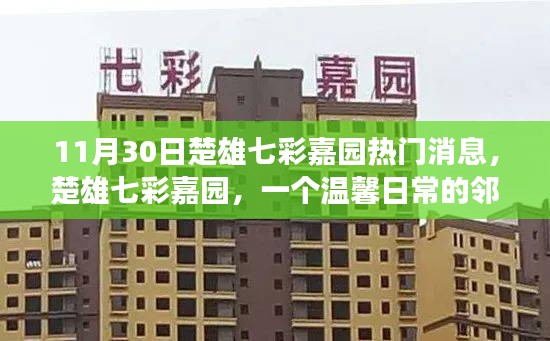 楚雄七彩嘉園鄰里故事會，溫馨日常的熱門消息