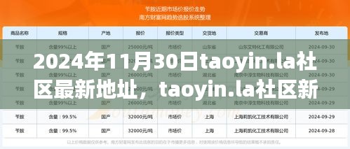 2024年11月30日taoyin.la社區(qū)新址展望，機(jī)遇與挑戰(zhàn)并存