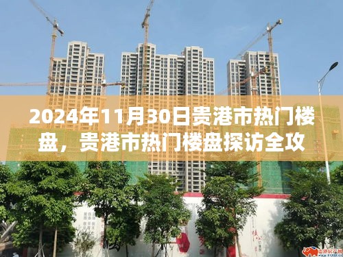貴港市熱門樓盤探訪全攻略，購房指南（2024年11月30日）