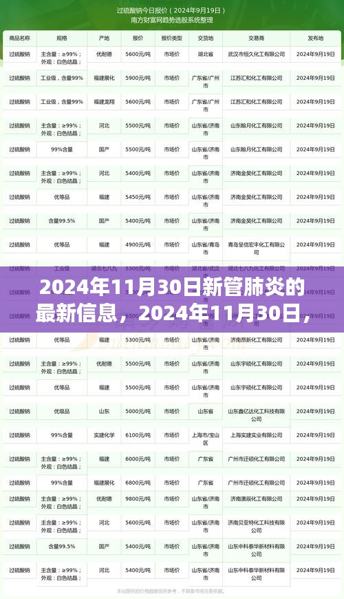 2024年11月30日新管肺炎最新動(dòng)態(tài)，揭示最新篇章