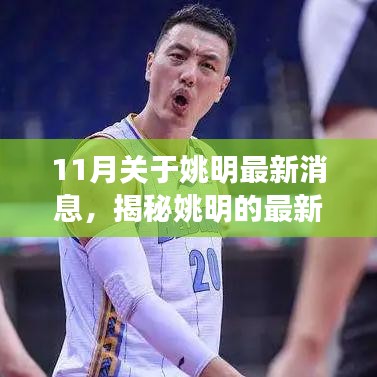 揭秘姚明最新動(dòng)態(tài)，11月重磅消息全解析