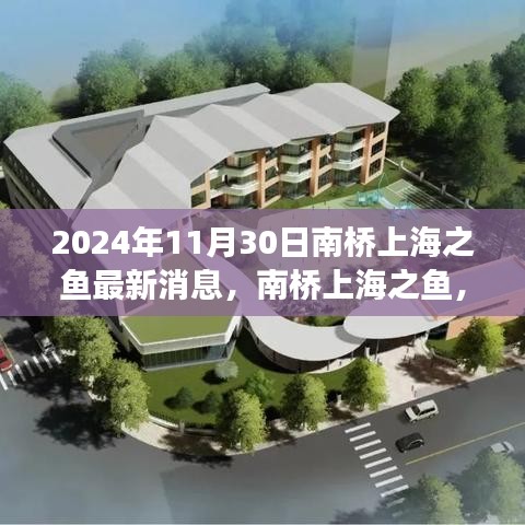 南橋上海之魚，溫馨日常與深厚友情的見證（最新消息，2024年11月30日）