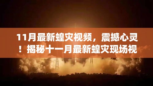 震撼心靈！揭秘十一月最新蝗災(zāi)現(xiàn)場實錄視頻