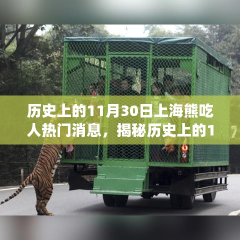 揭秘上海熊吃人事件，歷史真相與傳聞回顧（附日期，XX年XX月XX日）