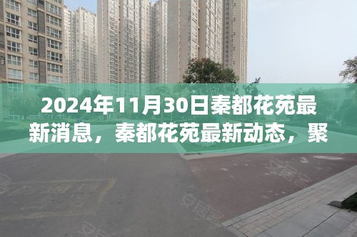 秦都花苑最新動(dòng)態(tài)揭曉，2024年11月30日的最新消息與觀點(diǎn)爭議聚焦