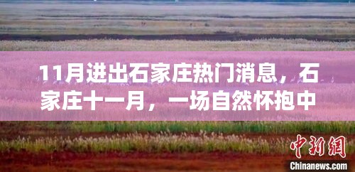 石家莊十一月，自然懷抱中的心靈之旅，進(jìn)出熱門消息