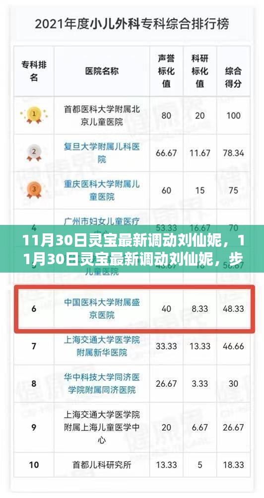 揭秘靈寶最新人事調(diào)動，劉仙妮的晉升之路與技能學(xué)習(xí)指南
