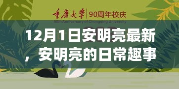 安明亮日常趣事，溫馨時(shí)光回顧，12月1日的精彩瞬間