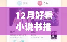 十二月最新熱門小說(shuō)推薦與深度測(cè)評(píng)，不容錯(cuò)過(guò)的閱讀盛宴