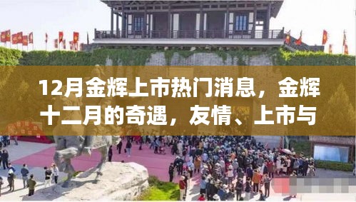 金輝十二月，友情、上市與家的溫馨故事，十二月金輝上市熱議話題