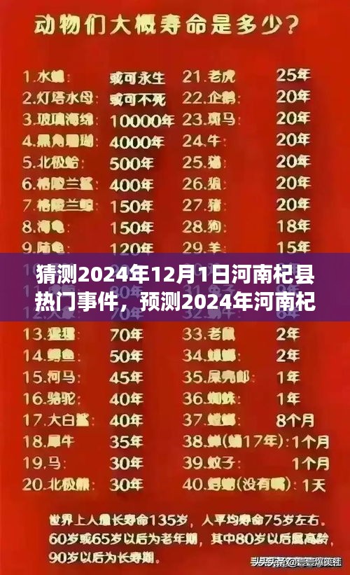河南杞縣熱門事件預(yù)測(cè)，多方觀點(diǎn)下的探討與展望（2024年12月1日）