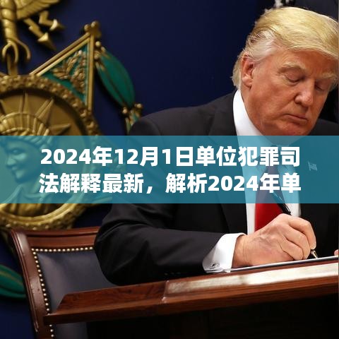 深度解析，2024年單位犯罪司法解釋最新動(dòng)態(tài)及三大要點(diǎn)探討