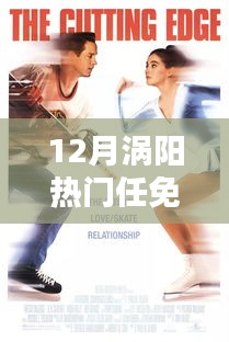 12月渦陽任免人員動態(tài)全解析，熱門任免指南（初學(xué)者與進階用戶必備）