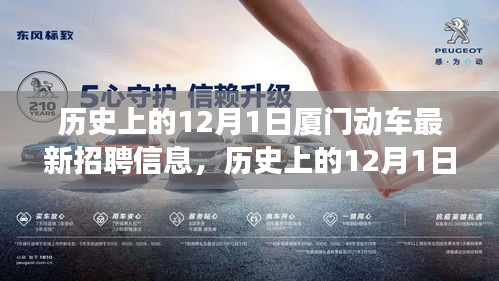 廈門動(dòng)車招聘新動(dòng)態(tài)及歷史解讀，特性、體驗(yàn)與競品對(duì)比的全方位觀察