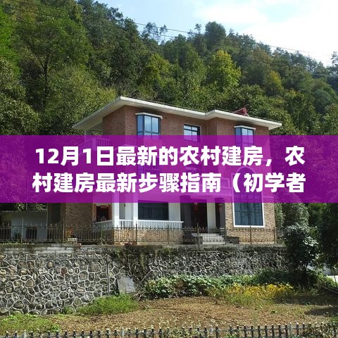 農(nóng)村建房最新步驟指南，從初學(xué)者到進階用戶的實用指南（12月1日更新）