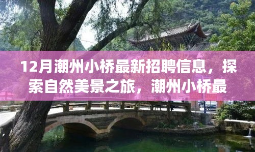 潮州小橋最新招聘啟事，啟程探索自然美景，尋找內(nèi)心的寧靜與平和之旅