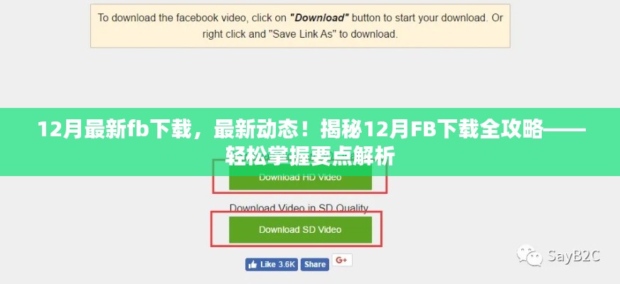 揭秘，最新動(dòng)態(tài)下的FB下載全攻略，輕松掌握要點(diǎn)解析