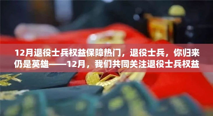 關(guān)注退役士兵權(quán)益保障，歸來仍是英雄，共同前行之路在十二月揭曉