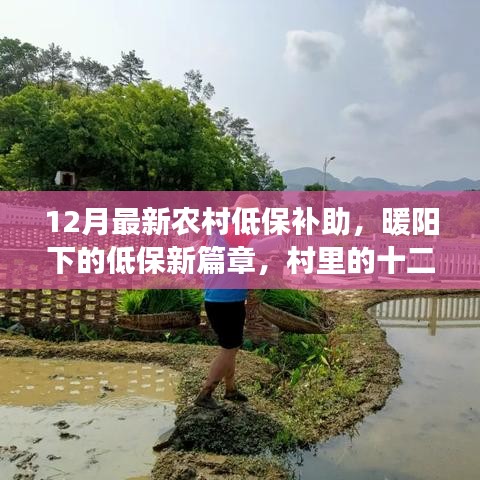 農(nóng)村低保補助新篇章，暖陽下的十二月溫情紀事