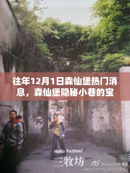 揭秘森仙堡隱秘小巷寶藏，十二月一日獨家新聞與特色小店的非凡魅力