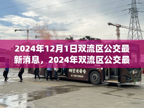 2024年雙流區(qū)公交最新消息詳解，獲取與使用公交服務(wù)的全面指南