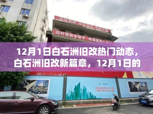 白石洲舊改新篇章，12月1日的日常與友情印記，熱議動(dòng)態(tài)揭秘