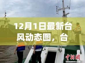 臺(tái)風(fēng)逆襲背后的力量與樂(lè)觀幽默，最新動(dòng)態(tài)圖解析
