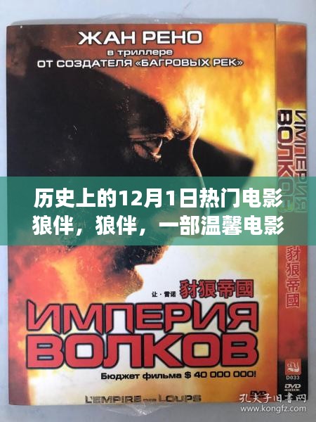 狼伴，一部溫馨電影背后的暖心故事與歷史的回響