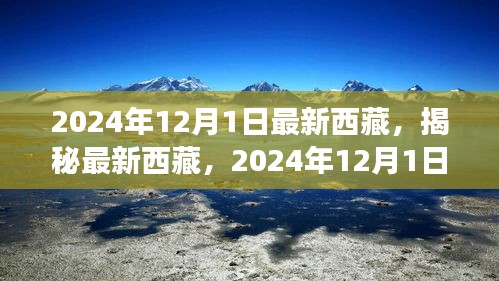 揭秘最新西藏，2024年西藏之旅的精彩瞬間（獨家報道）